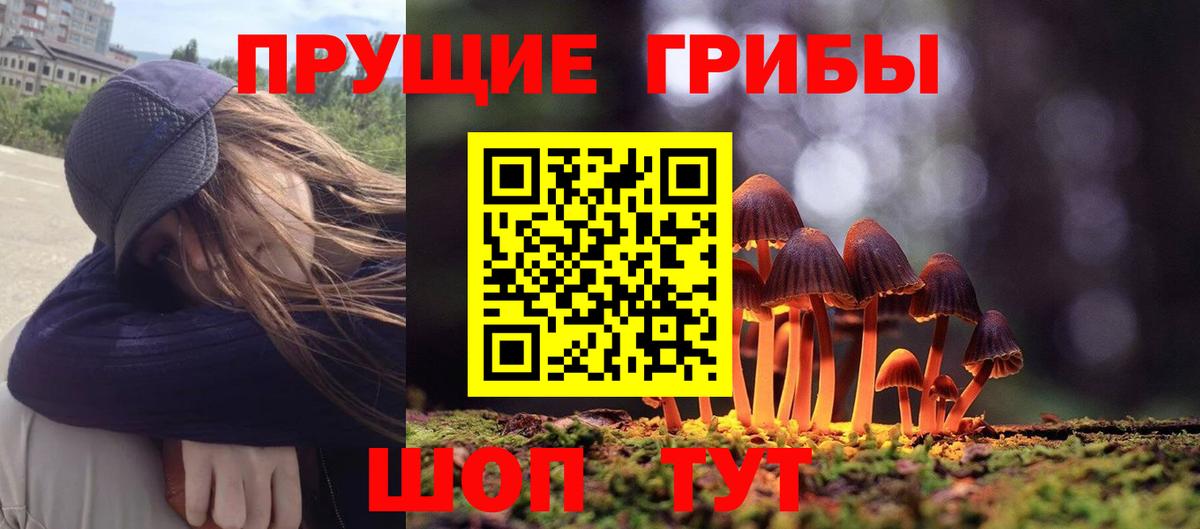 Псилоцибиновые грибы Psilocybe Сегежа