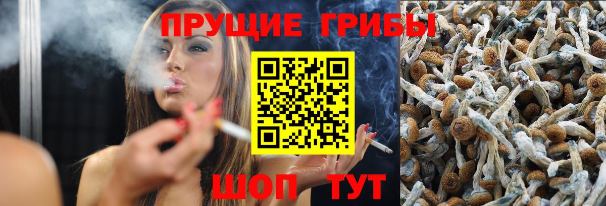 Сегежа  Псилоцибиновые грибы мицелий  Вход с VPN 